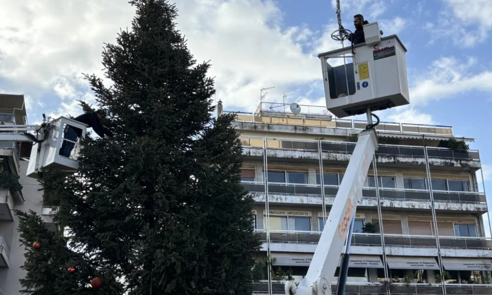 Πρωτοβουλία του δήμου Αγίας Παρασκευής: Τα χριστουγεννιάτικα δέντρα «επιστρέφουν» στους δημότες - Από στολίδι σε καύσιμη ύλη